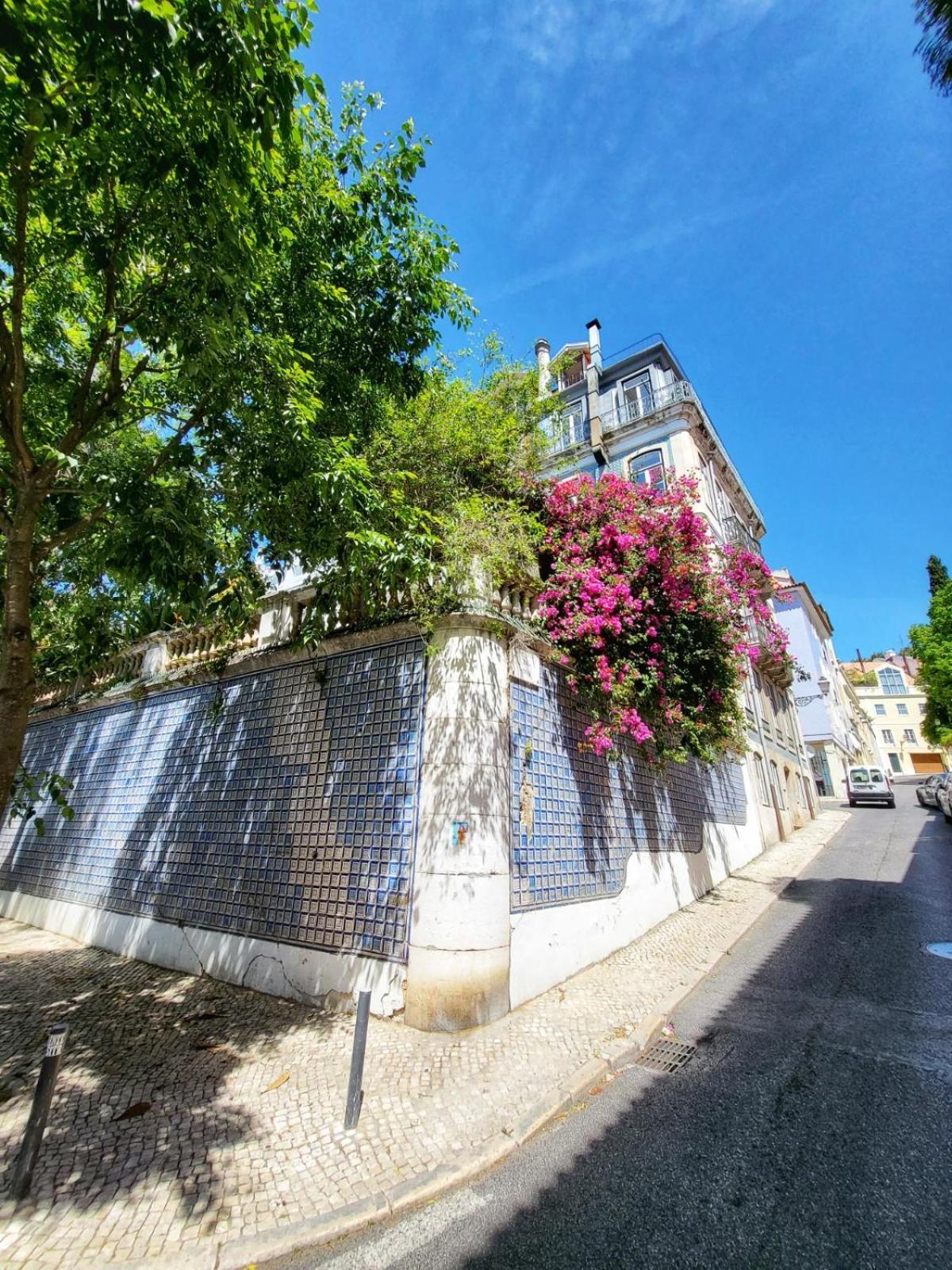 Apartamento Principe Real Lisboa